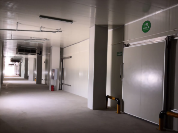 建造200噸的肉類冷鏈冷凍庫如何做好規劃設計？