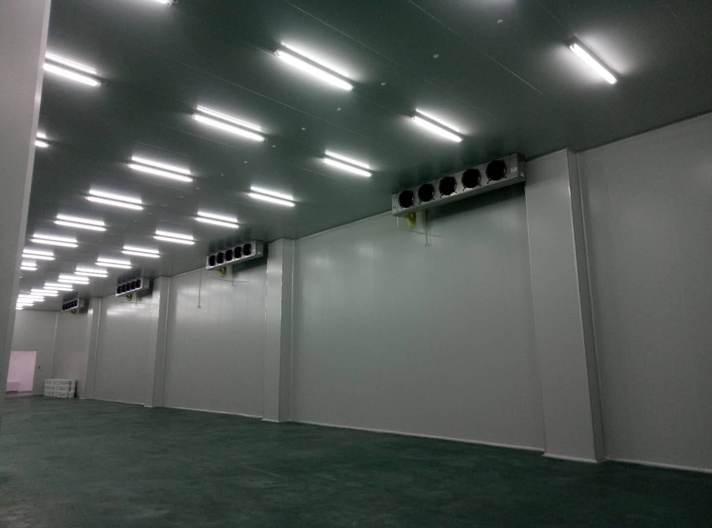 建造-35℃～-40℃急凍庫設計費用價格多少錢？