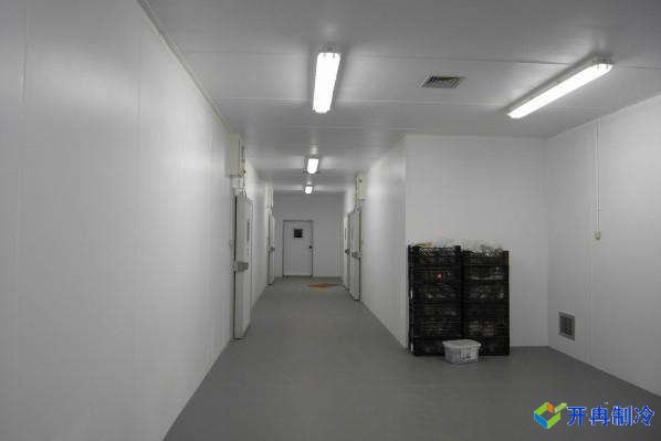 5000噸肉制品冷凍庫造價預算，上海建冷庫哪家好